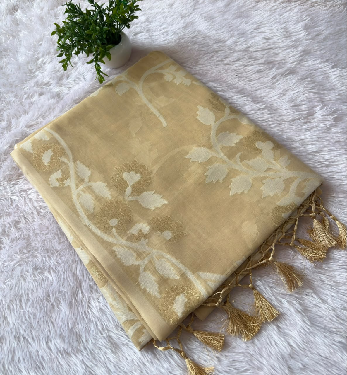 TISSUE JAAL SAREE