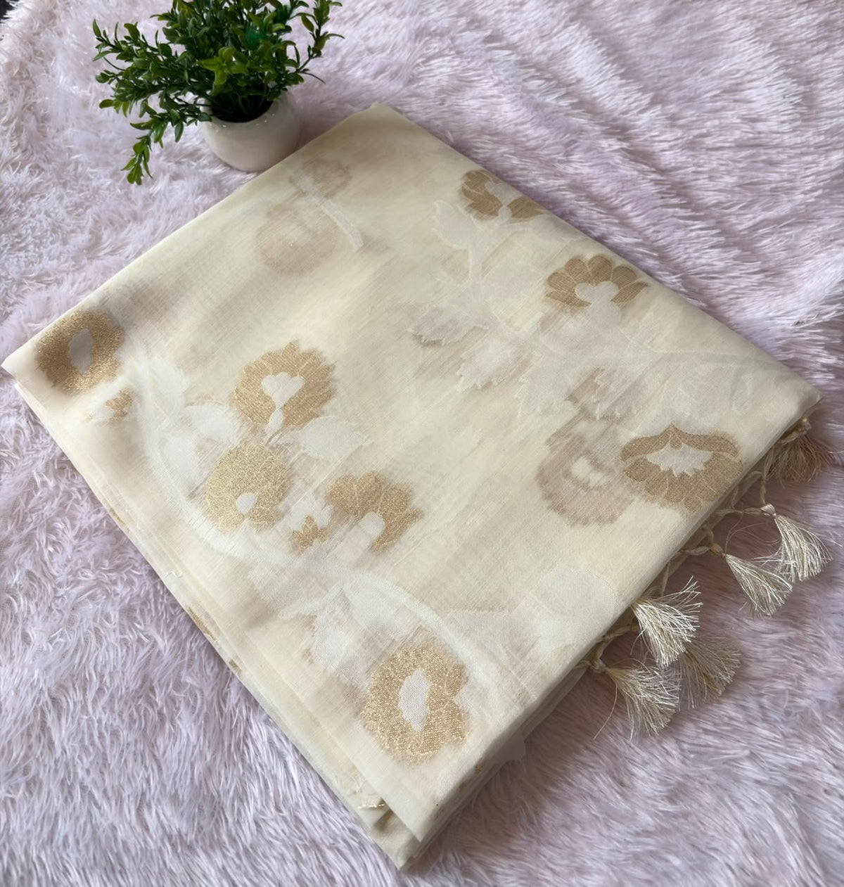 TISSUE JAAL SAREE